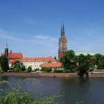 Wycinka drzew we Wrocławiu