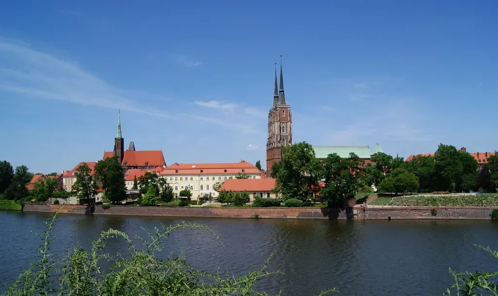 Wycinka drzew we Wrocławiu