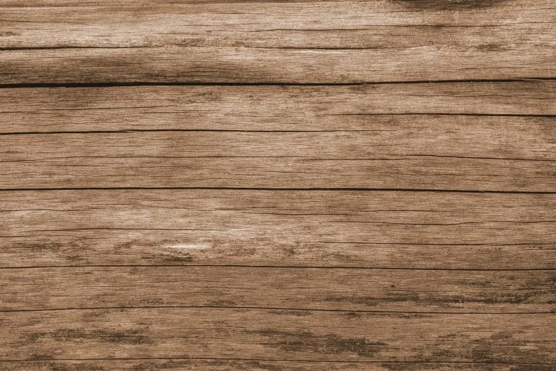 Co to są sedniki do drewna?